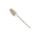 Recycling 100% compostable CPLA biodegradable  spoon